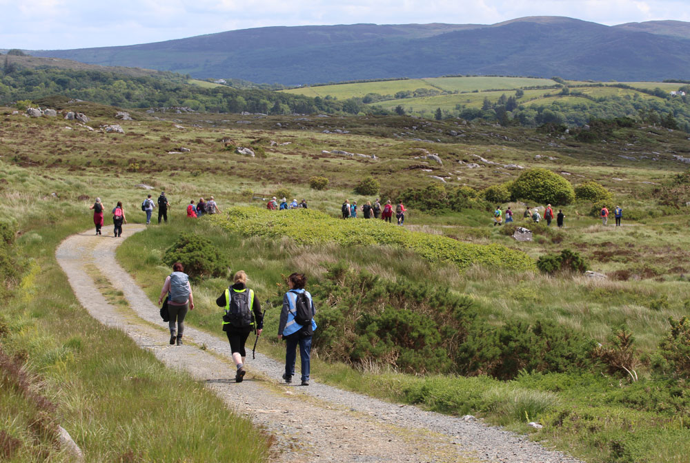 Group of walkers on a trail through the hills of County Donegal