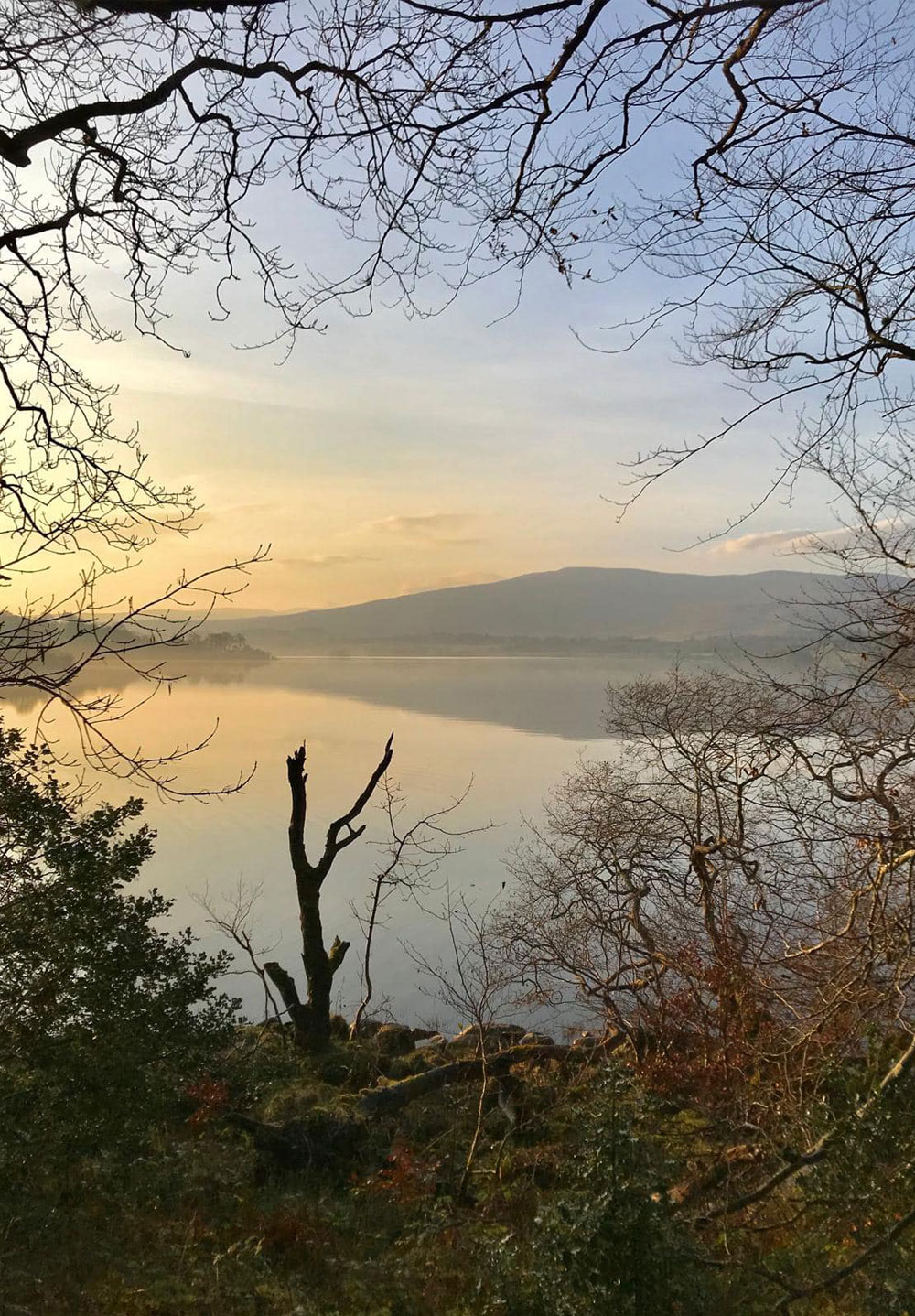 Lake and hills viewed through trees in County Donegal