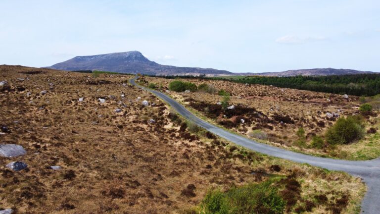 Muckish